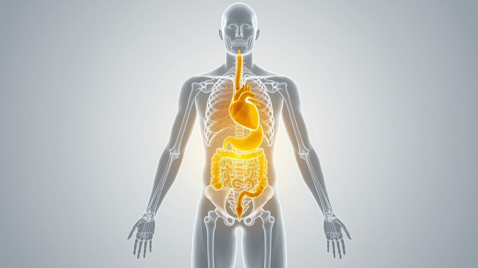 Turmeric: Effects on the Body, Heart Health, Digestive System, Joints, and Lungs