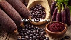 Is Mucuna Safe? Side Effects, Daily Use, and Why It Can Cause Itching