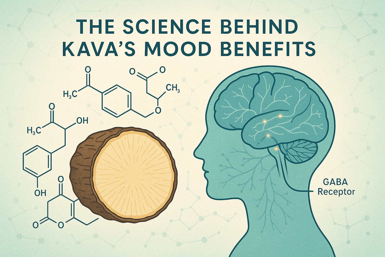 A cup of kava tea with kava roots and leaves on a wooden table, alongside scientific notes and illustrations, representing the research on kava's mood-boosting effects.
