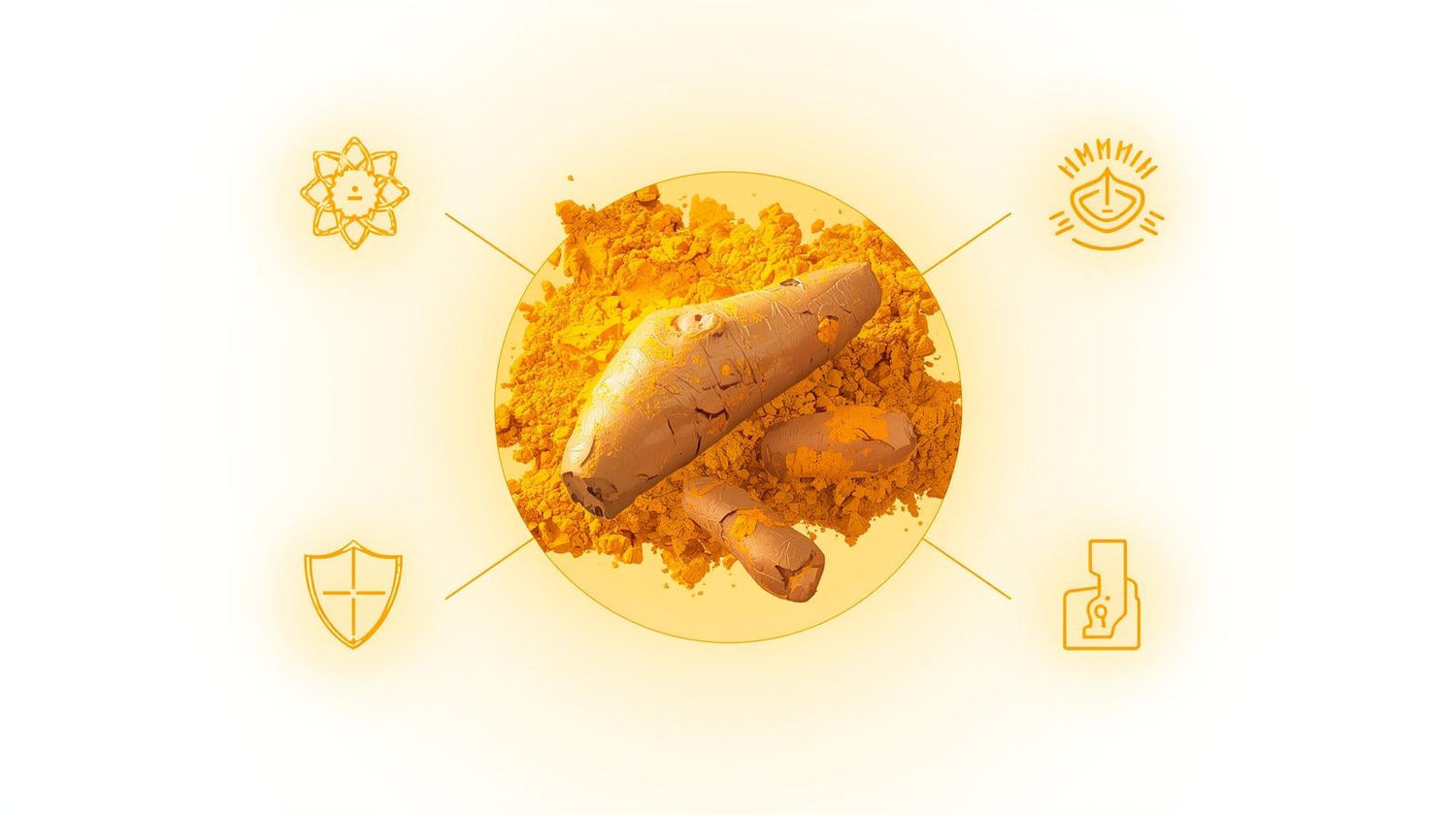 Turmeric Benefits Backed by Science: Boost Immunity, Joint Health